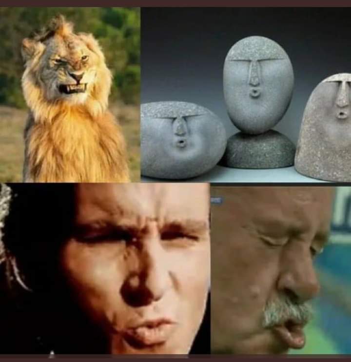 Damian88 tweet media