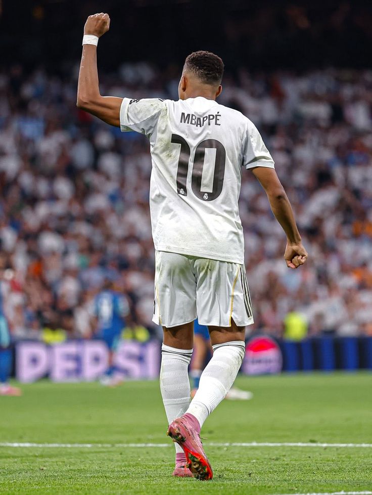 Madrid Zone tweet media