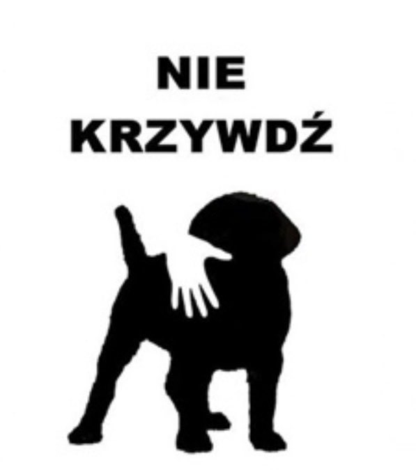 Stella Melassi tweet media