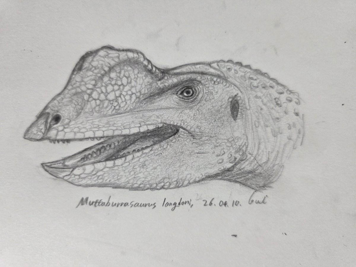 미크로랍토르(Microraptor) tweet media