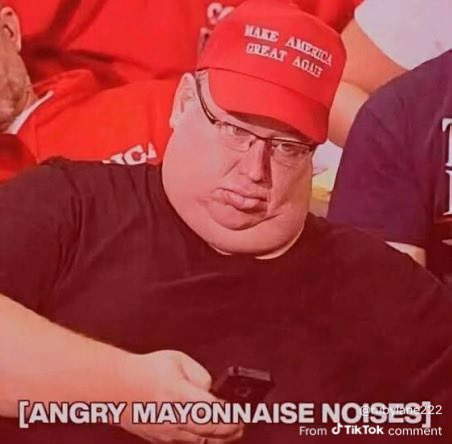 Ilovecats tweet media