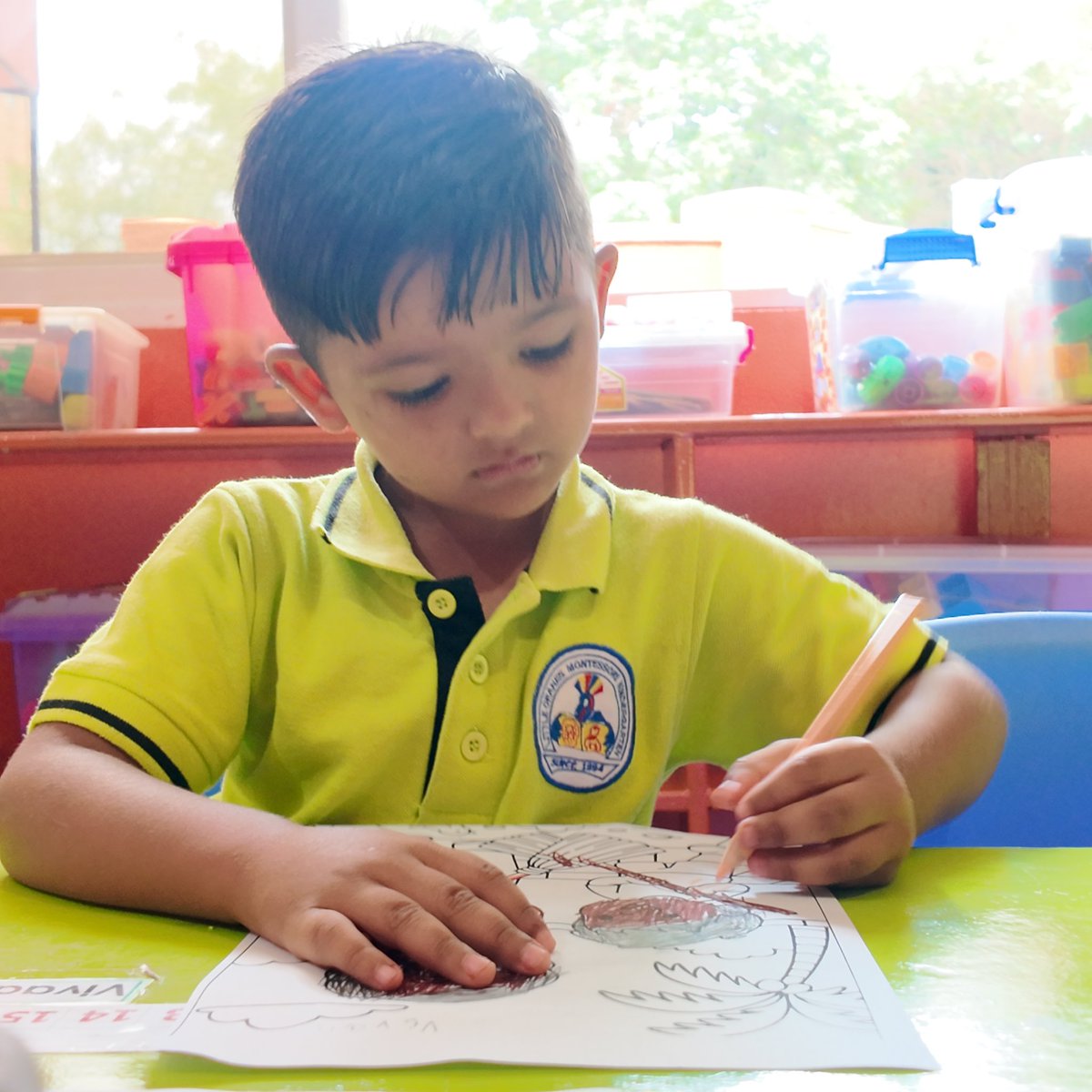 LittleCranes's tweet photo. It’s not "just coloring", it’s milestones in action! 🖍️✨
Coloring within lines builds fine motor control for writing. Matching real-world colors is a huge cognitive leap in observing the world. 🌍🧠
Give your child some sheets to practice!
#LittleCranesMontessori #Kindergarten https://t.co/IAF5q3q6AX