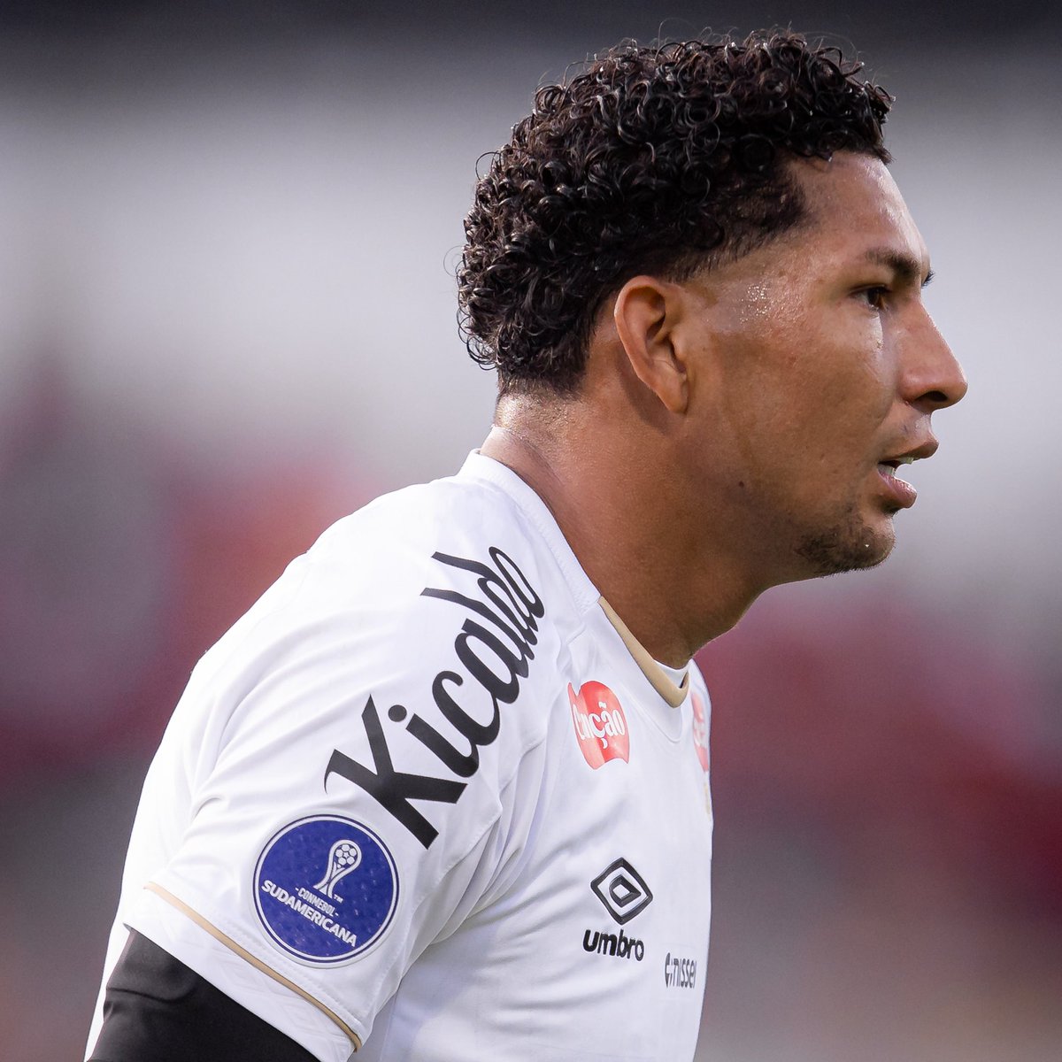 SFC PEIXE tweet media