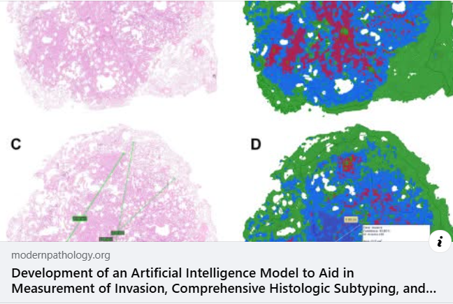 American Board of Pathology tweet media