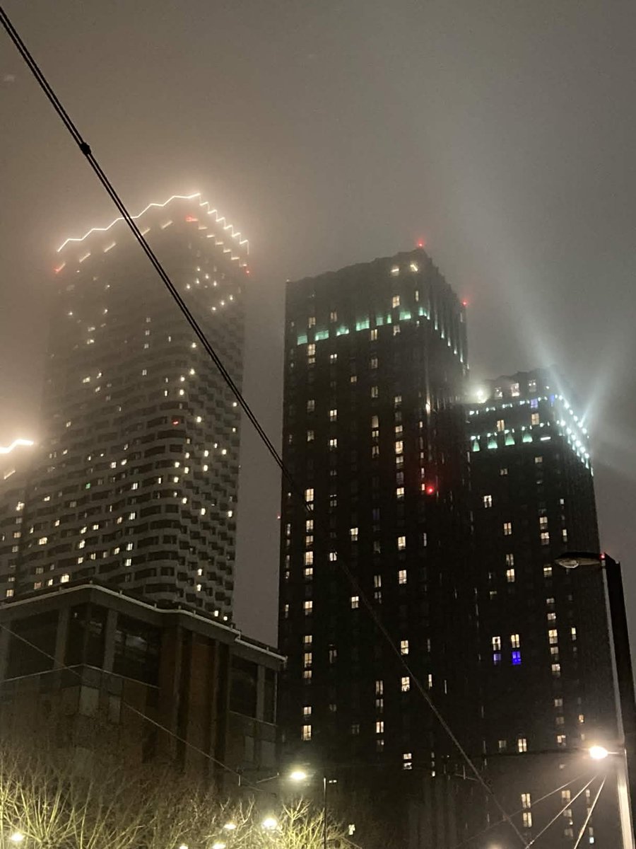 Matthew the Stoat tweet media