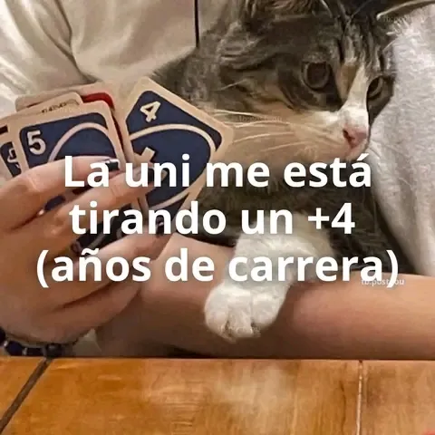 Rincón Curioso tweet media