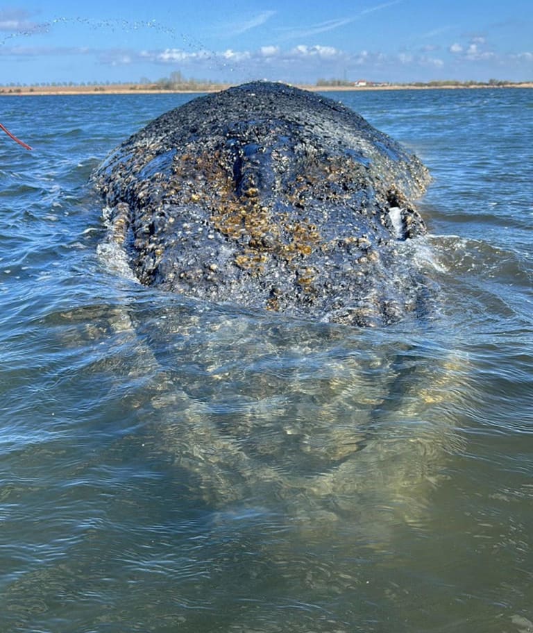 Shlay ️🐦 tweet media