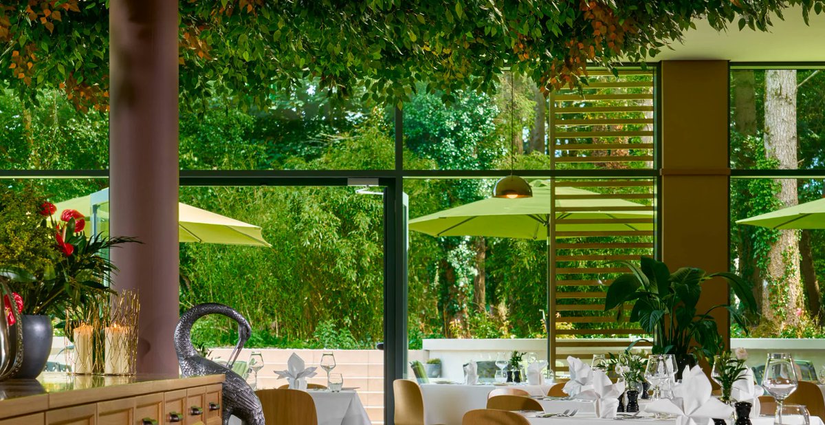 TheBostonIrish's tweet image. #Ireland celebrates its cuisine all year round, with 20+ #Michelin star restaurants, the freshest #farmtotable produce &amp;amp; meat, bountiful #farmersmarkets and delightful #foodfestivals to savor.  irishboston.org/2026/ireland-c… @GoToIrelandUS @GoodFoodIreland @Michelin