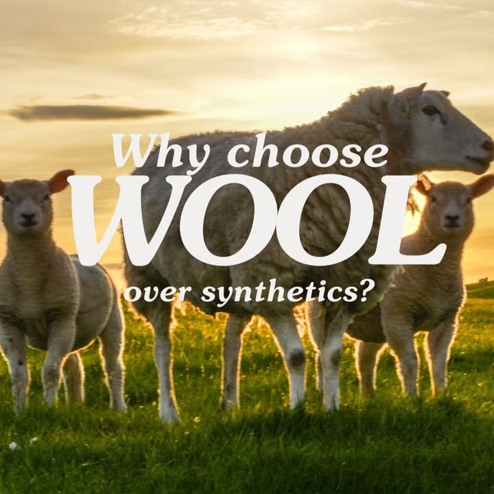 British Wool tweet media