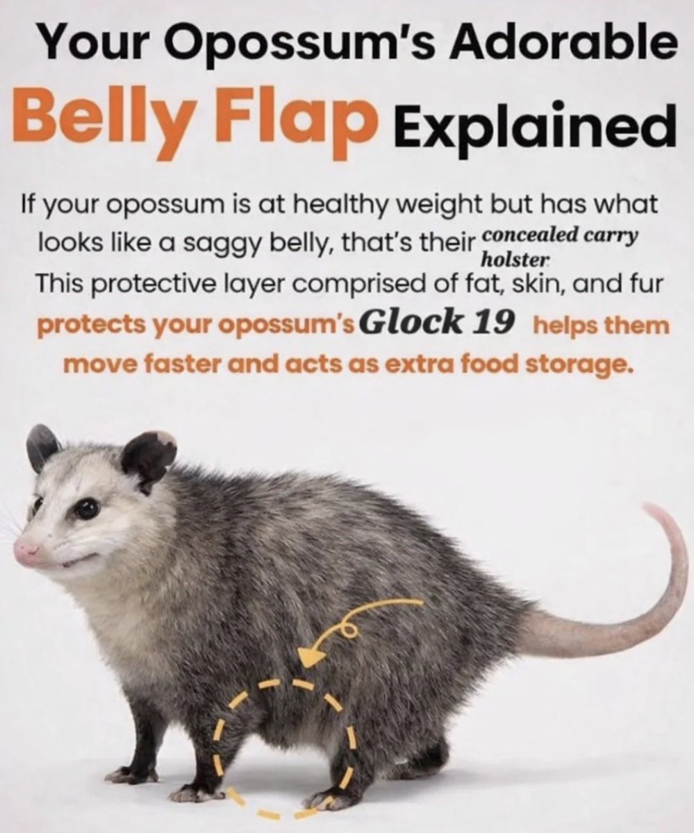 Libertarian Party Opossum Caucus tweet media