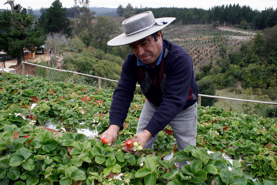Radio Definición FM tweet media