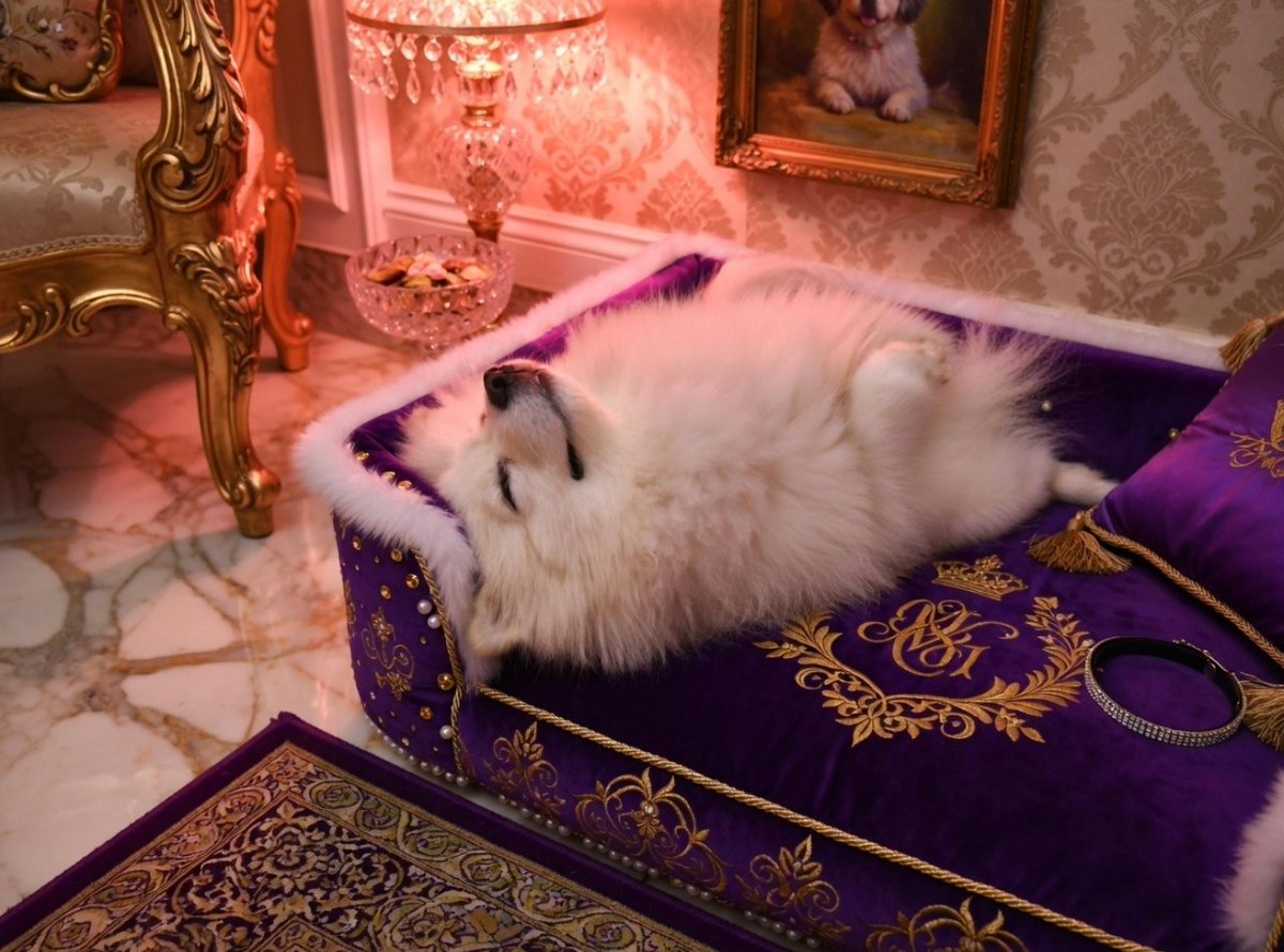 Agares | BaelCalls tweet media