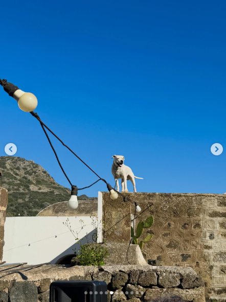 Eleonora tweet media