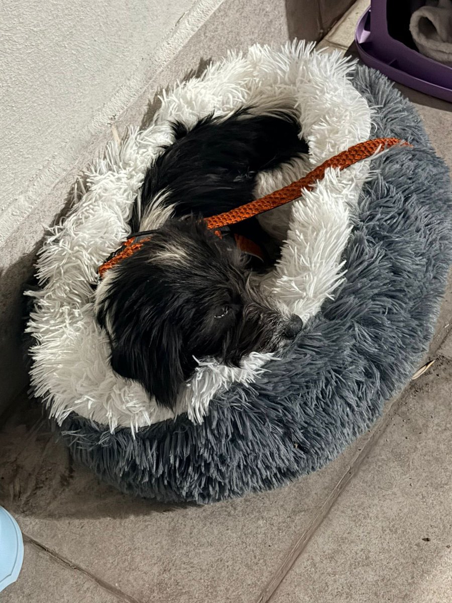 Marvinhammer tweet media