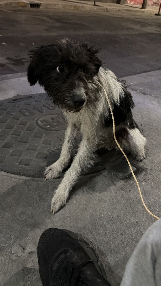 Marvinhammer tweet media