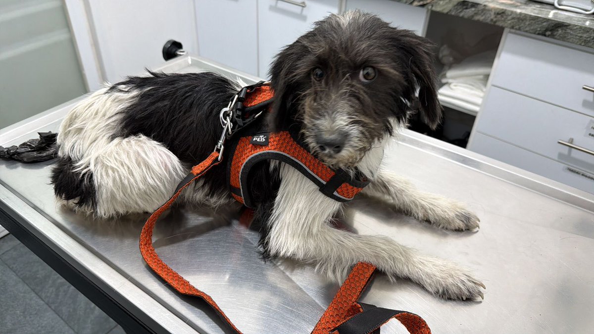 Marvinhammer tweet media