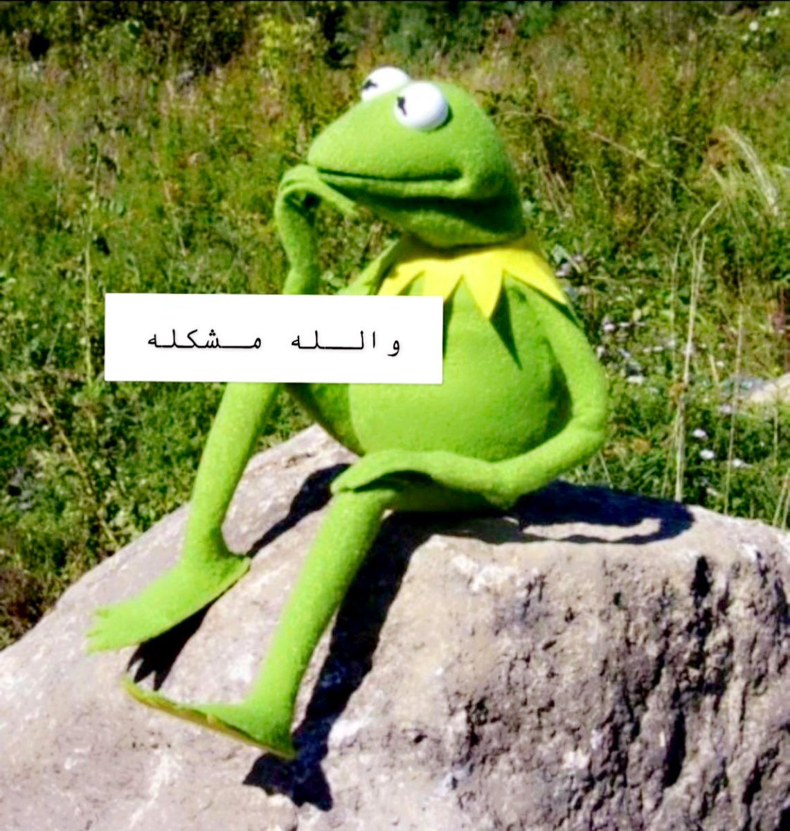 الشـيـخ تـويـتـي  tweet media