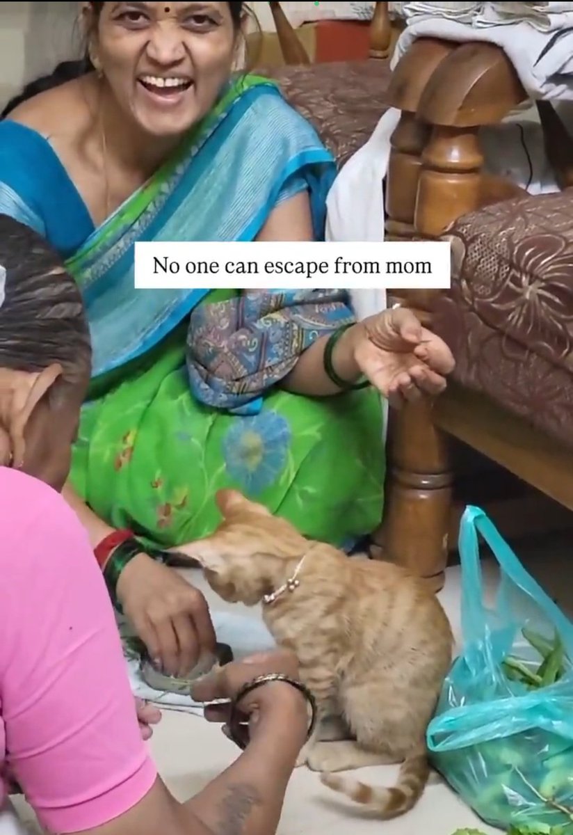 Champaran Wala tweet media