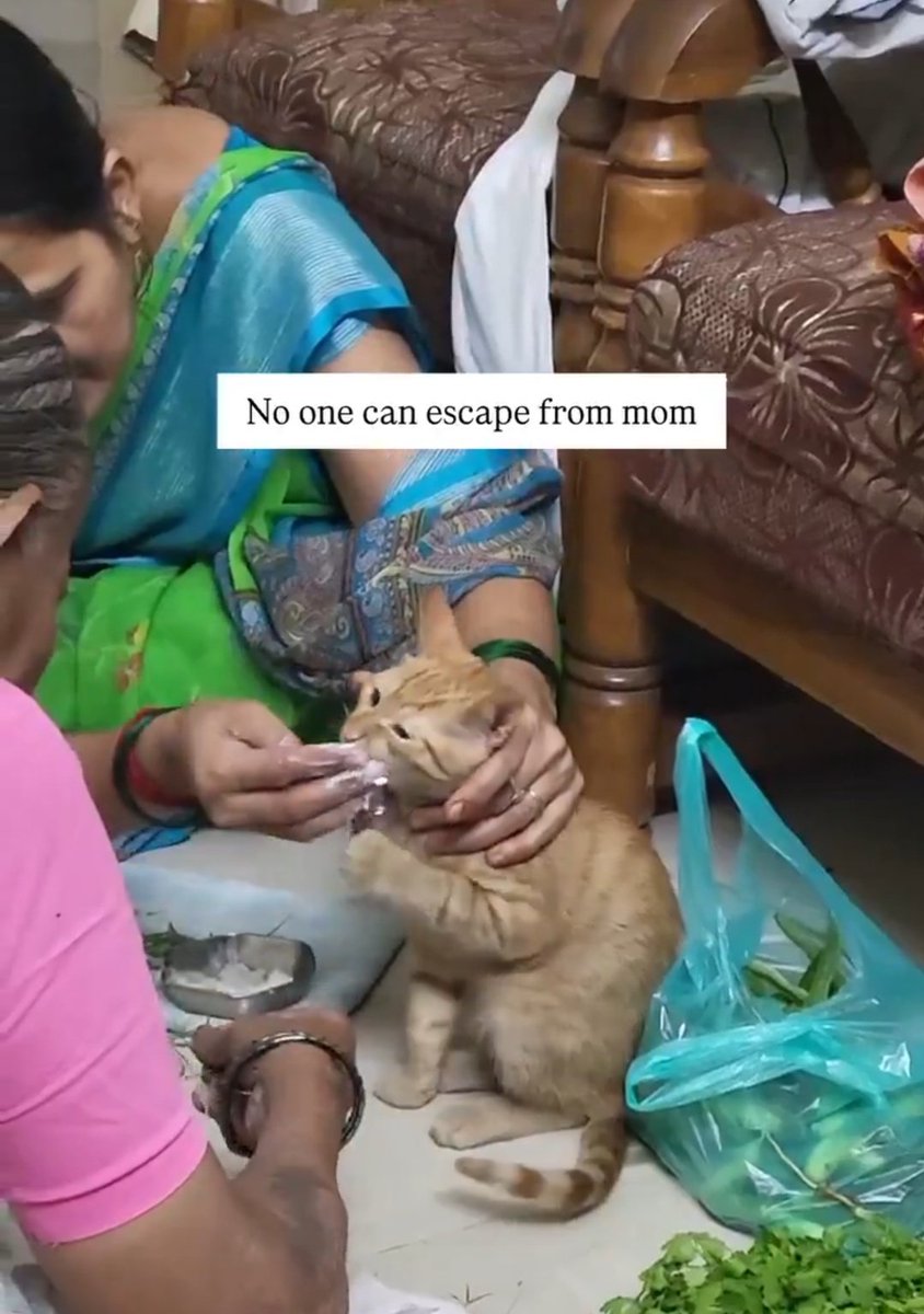 Champaran Wala tweet media