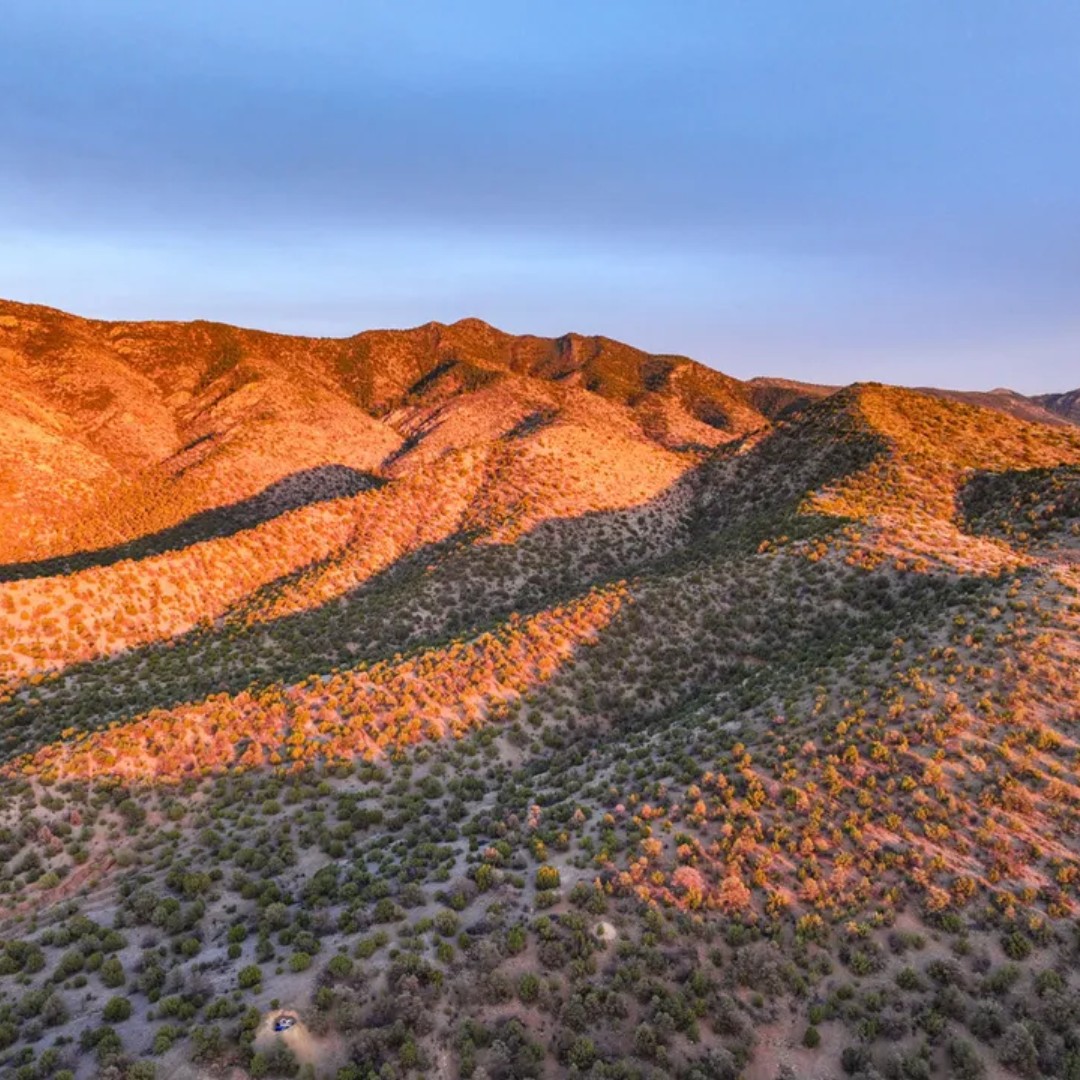 The Land Report tweet media