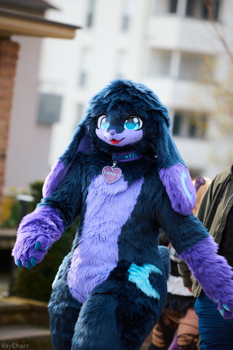 LunaryTheBun 🔜EF tweet media