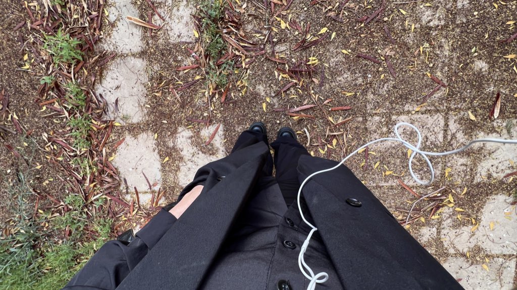on the nature of daylight tweet media