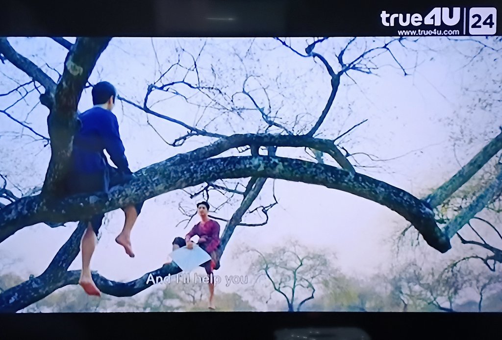 apple:):♡🥬🥕☆ tweet media