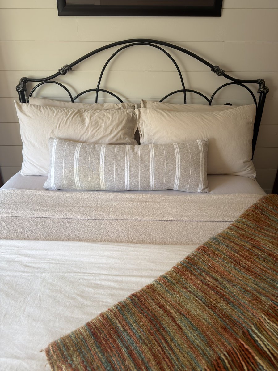 Carole Mac tweet media