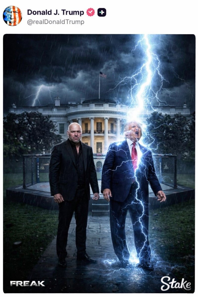 Dominion Underground tweet media