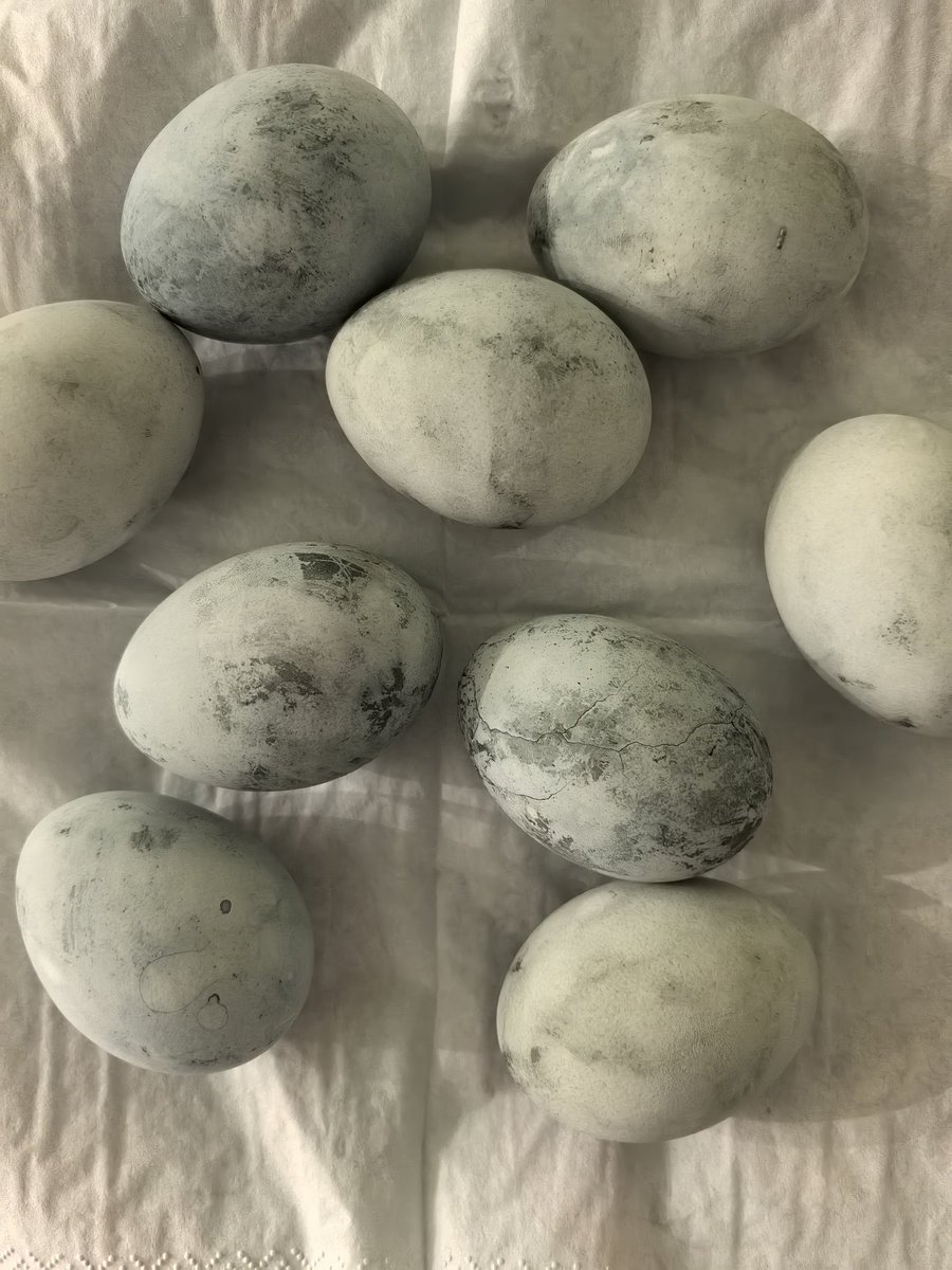 Не яйца красят человека, а человек красит яйца ©