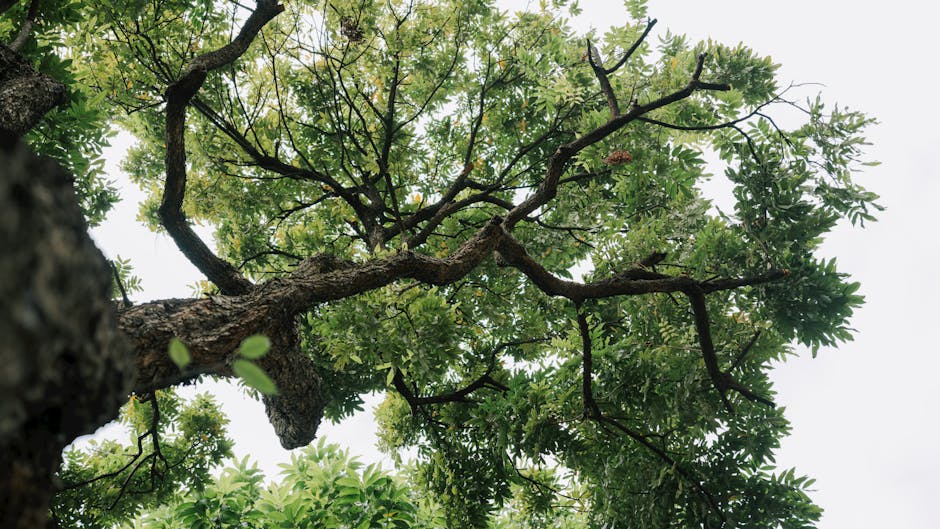 Sarah Harrison tweet media