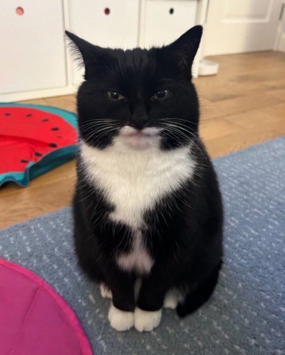 98세 짱삐 인생 최후의 트윗 tweet media