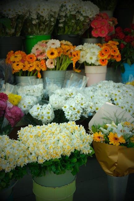 Robyn Mack tweet media