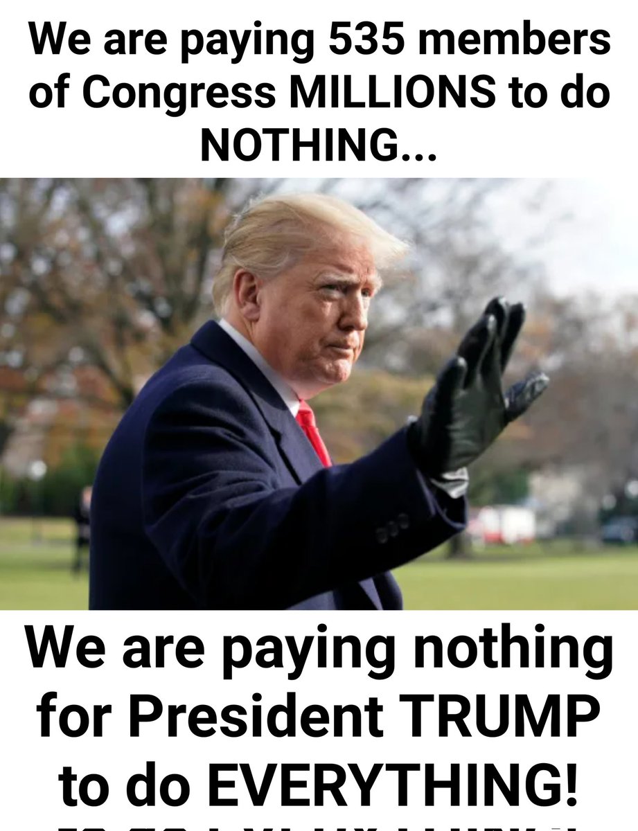 Proud Patriot 🇺🇲 tweet media