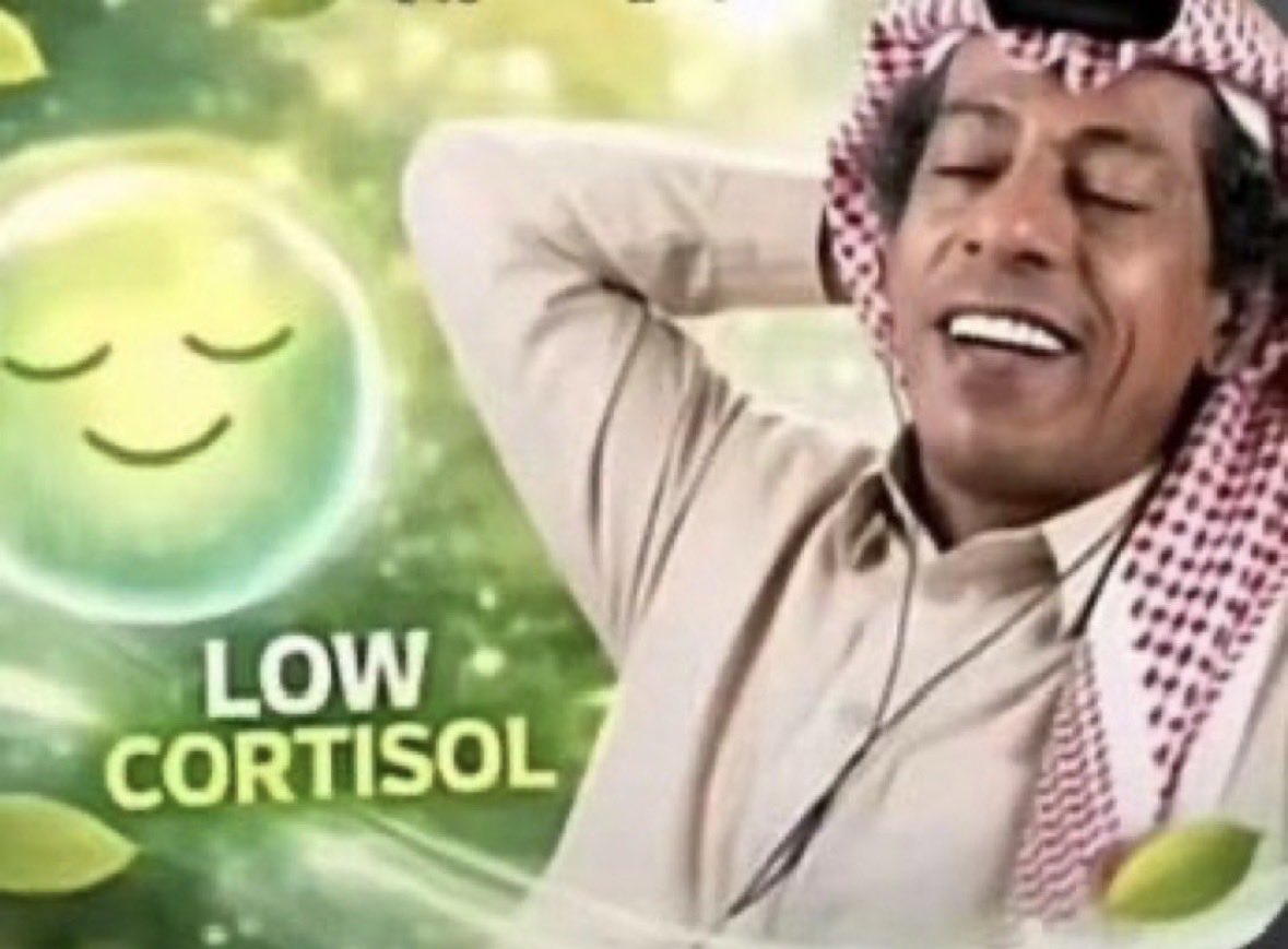 شـمـس 🌞 tweet media