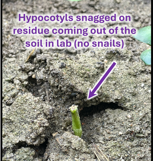 Joshua Nasielski tweet media