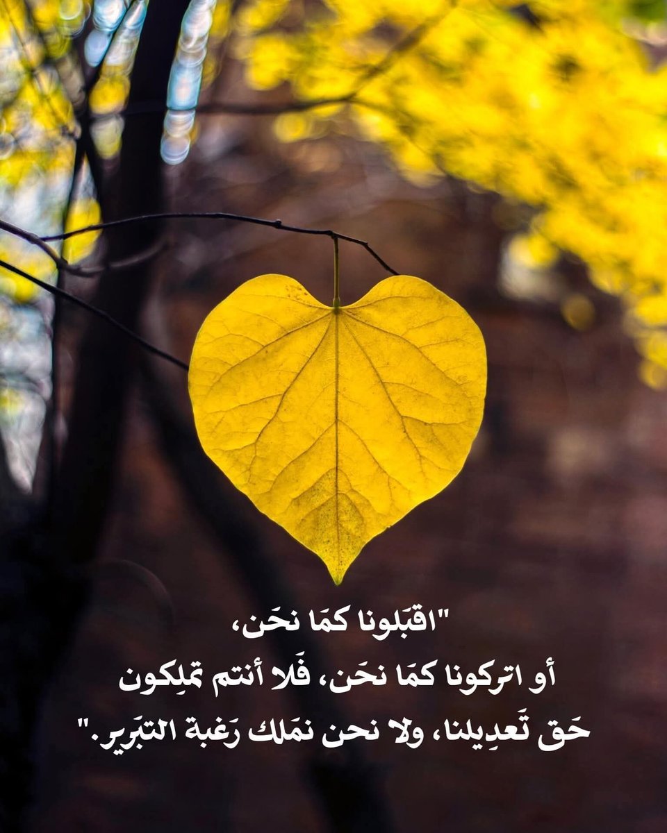 ⏩〰️ᓅ᎗̤ɹȊ᎗̇ɹ 〰️⏪ tweet media