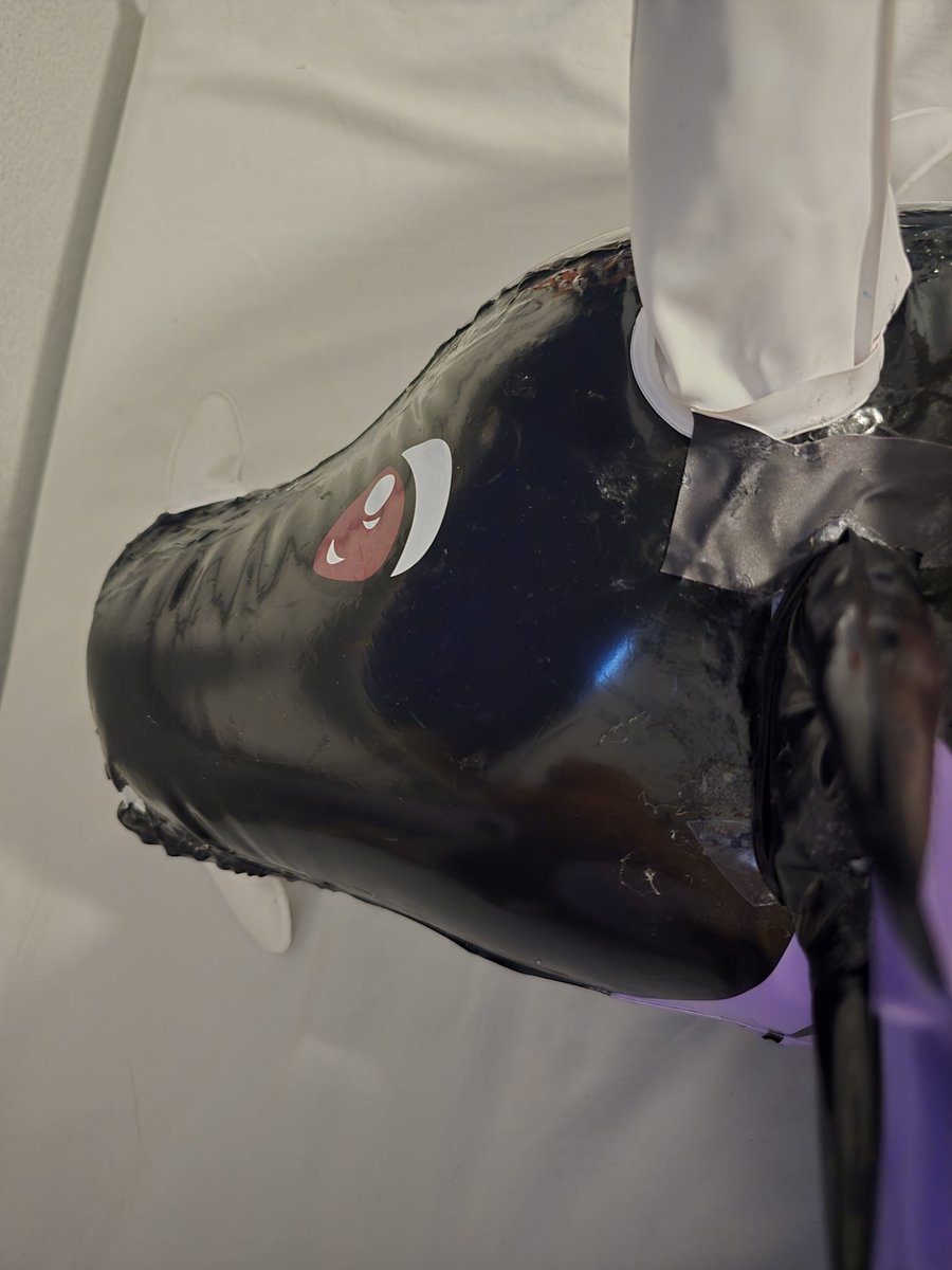 The Derpy Guardian tweet media