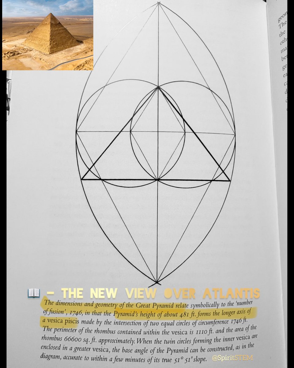 spiritstem_'s tweet image. These 'eyes' are all natural manifestations of the Vesica Piscis 
⭕️👁️⭕️

One of the most ancient and universal symbols in sacred geometry