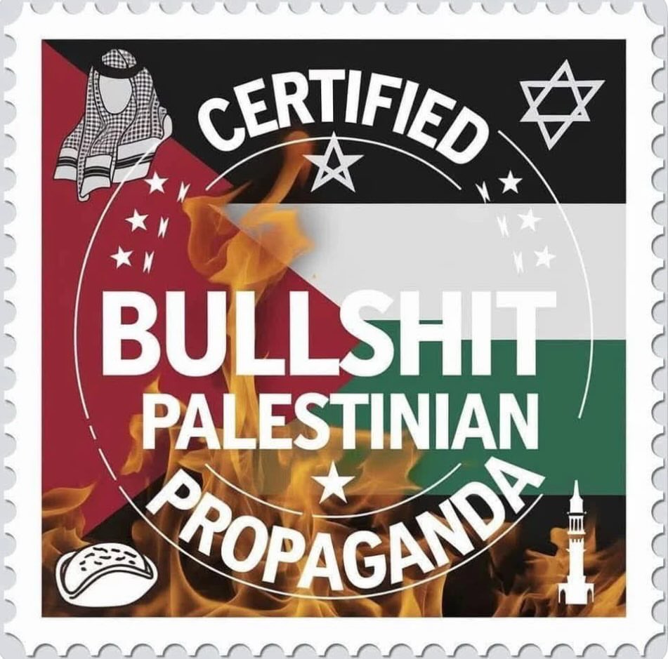 OLIVIA GALVEZ tweet media