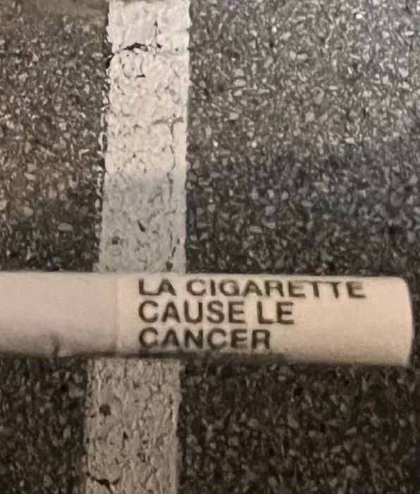 horse dentist tweet media