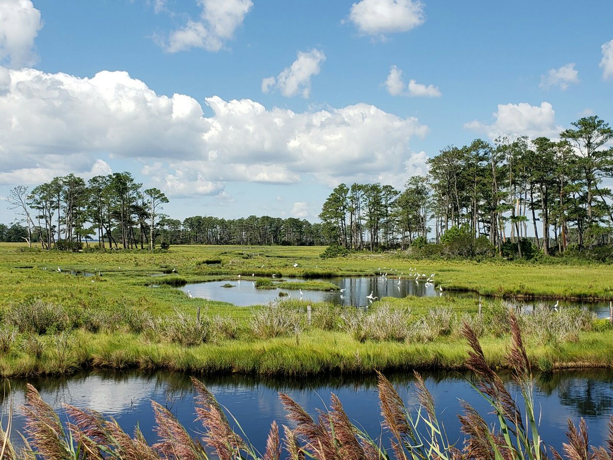 Random Public Park 🏞️ tweet media