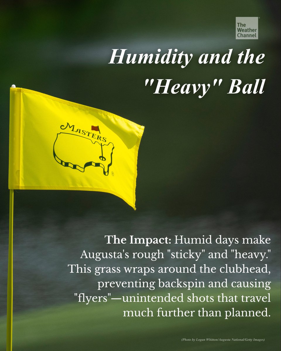 The Weather Channel tweet media