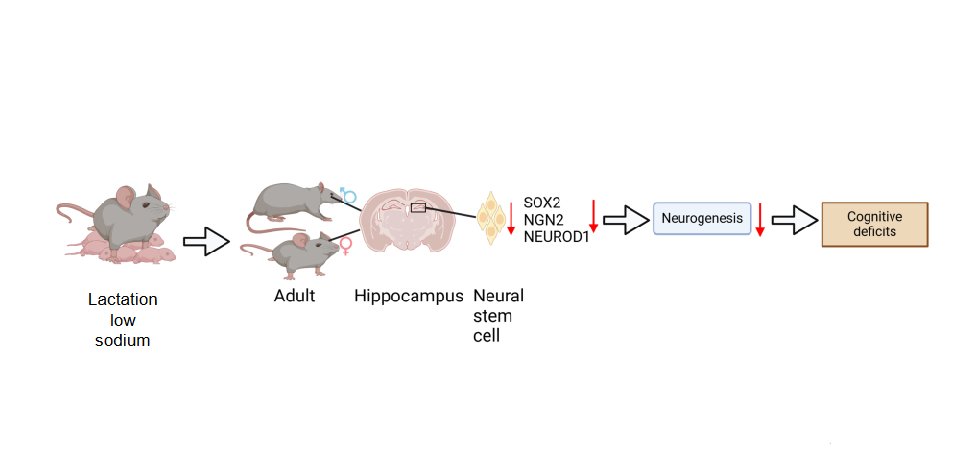AJP-Regulatory, Integrative Comparative Physiology tweet media