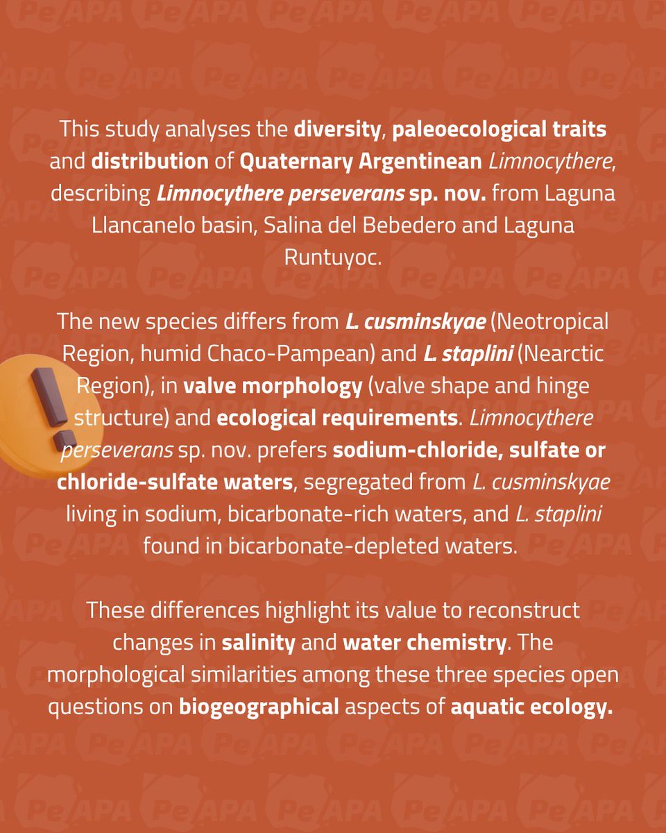 PE-APA Journal (Open Access) tweet media