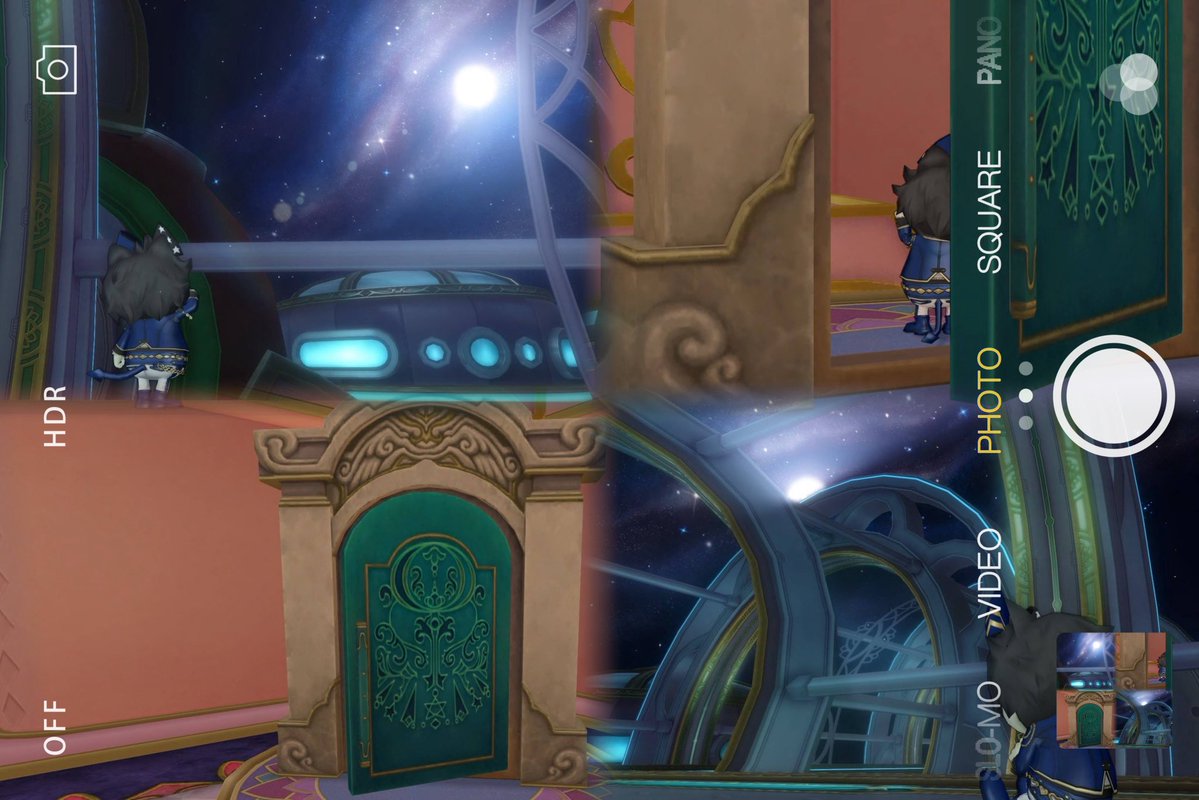 ぷくずわん【公式】 tweet media