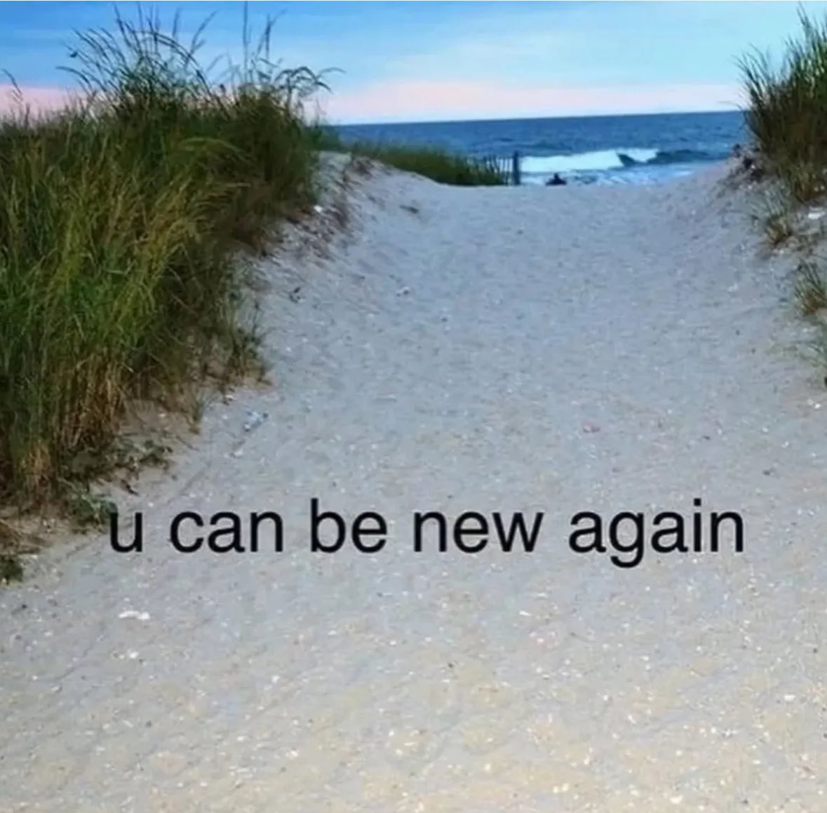 Novelle art. tweet media