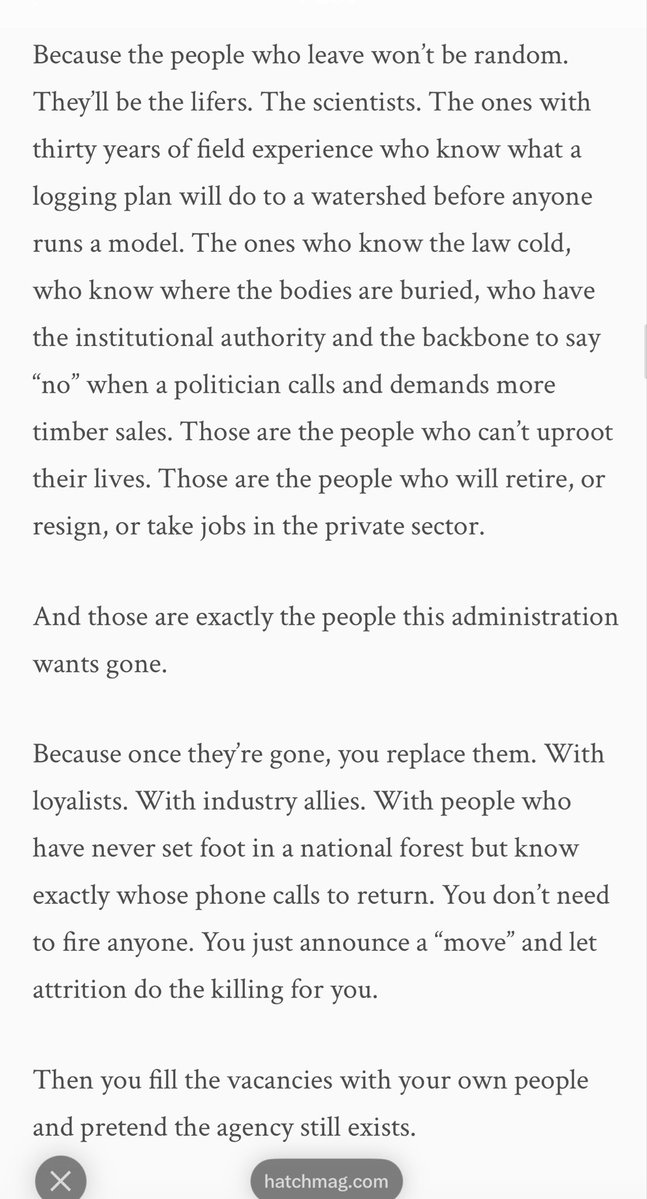 Danielle Langlois tweet media