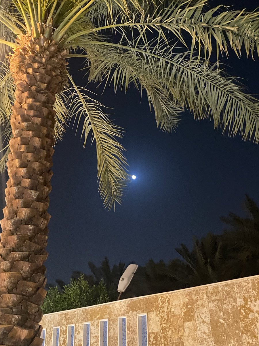 دَعْجَاء tweet media