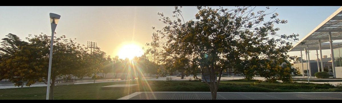 دَعْجَاء tweet media